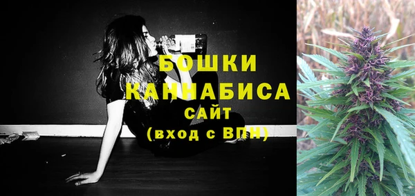 ГАЛЛЮЦИНОГЕННЫЕ ГРИБЫ Белоозёрский