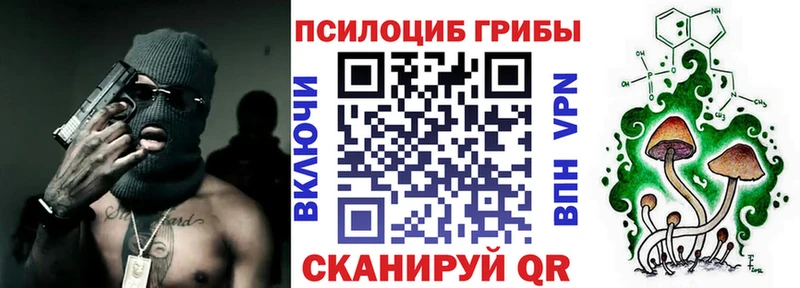 Псилоцибиновые грибы Psilocybe маркетплейс клад Сковородино наркошоп